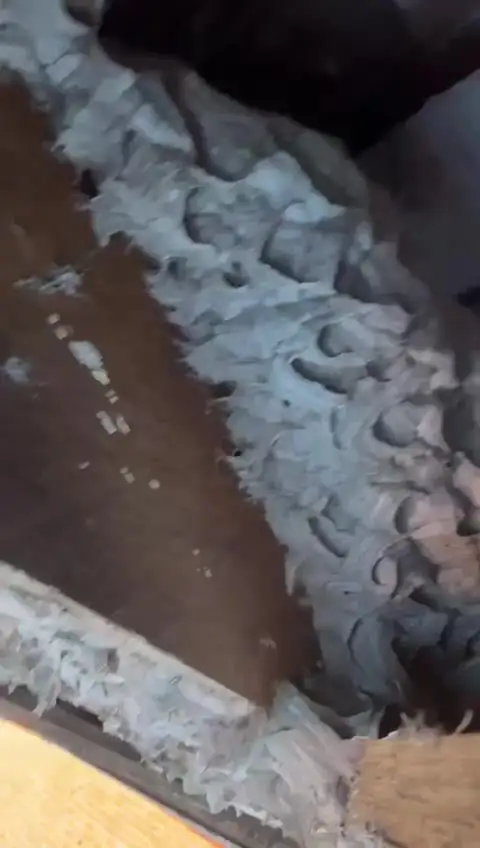 European wasp nest found under the roof tiles of a Melbourne home